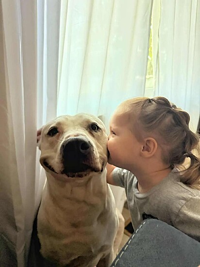A menina dando um beijo no rosto do cachorro pitbull.
