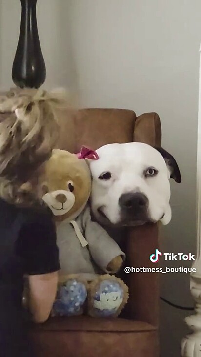 O cachorro adora estar na companhia na menininha.
