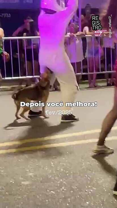 O cachorro segue sendo a maior atração do evento.