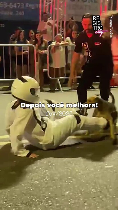 O cachorro passou oito anos treinando novos ataques à fantasias.