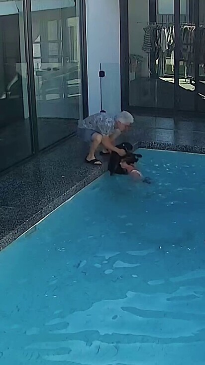 A família desconfia que Chloe já não enxerga ou escuta por causa da idade avançada.