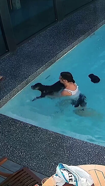 A tutora não acreditou que precisou pular na água duas vezes.