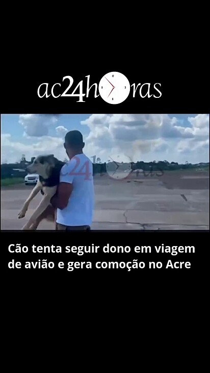 O cachorro ficou preocupado com o tutor e queria ir junto no avião.