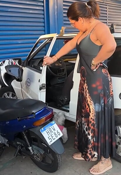 A cachorrinha Shih-tzu se recusou a entrar no carro Fiat Uno.