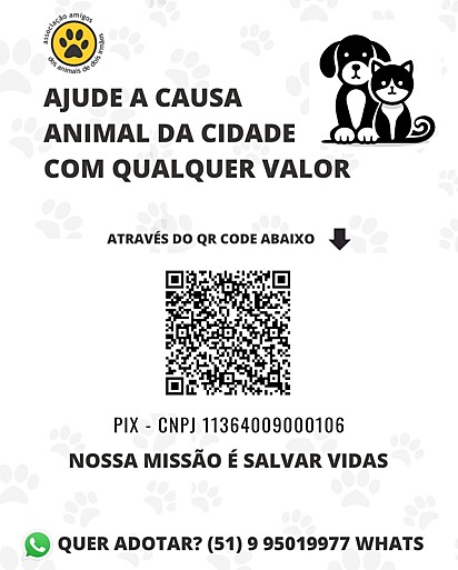 O abrigo luta dia após dia pela causa animal.