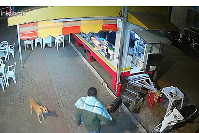 https://ftrk7834.amomeupet.org/noticias/editar/13808