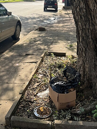 Um denúncia levou a protetora até o local do abandono.