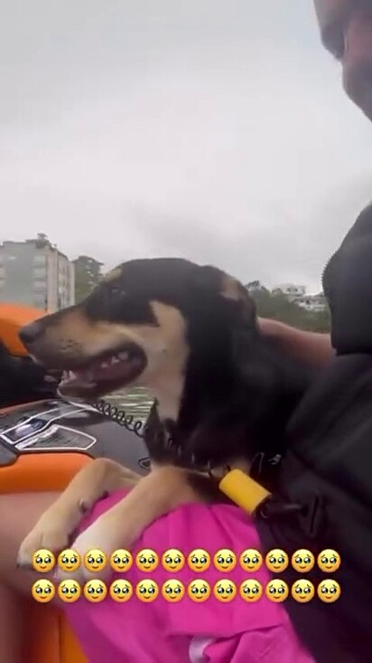 O cachorro Bastião ganhou um lar.