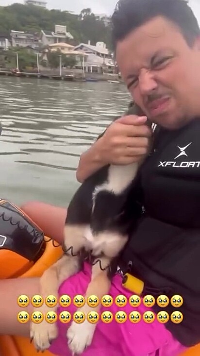 O cachorro não hesitou ao andar de jetski.