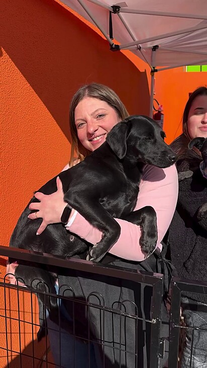 Internautas destacaram que os cães pretinhos são lindos e merecem um lar.