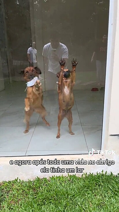 Hoje em dia ela recebe todo mundo com carinho.