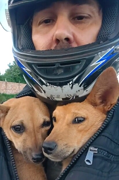 Fábio resgatou e adotou as cachorrinhas.