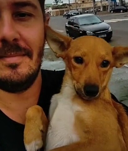 As vira-latinhas são muito amadas por Fábio.
