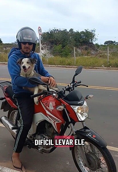 O motociclista deu um jeito de resgatar o cachorro e levá-lo para casa.