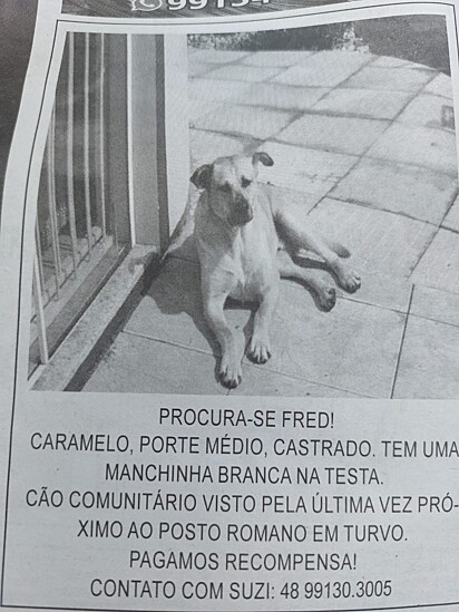 Cartazes de procura-se foram confeccionados para encontrar o Fred.