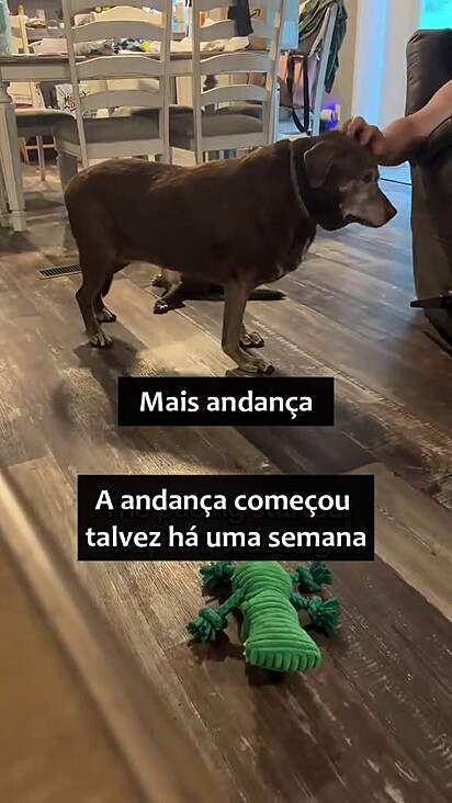 Bailey se sente perdida devido à demência. 