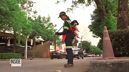 O cachorrinho foi adotado da rua.