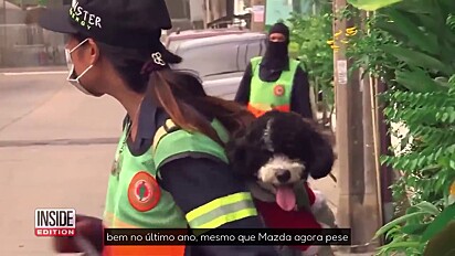 O cachorro sendo carregado ao estilo canguru nas costas da gari.