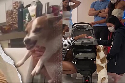 Bruce não é da família mas se sente responsável por Aurora.