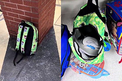Professora da 1ª série dá um grito após ver o que tinha dentro de mochila de aluno
