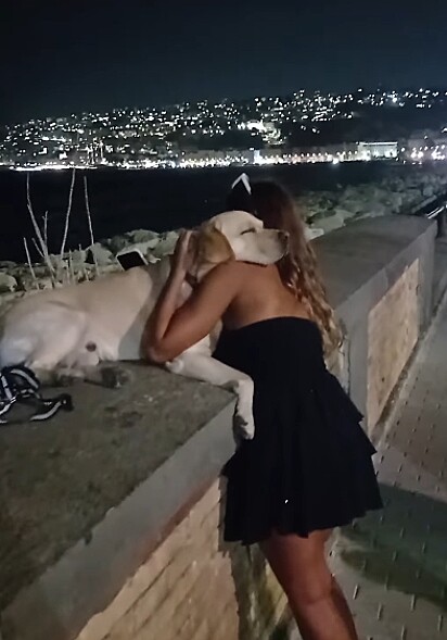 Se o cão permanece relaxado, como o da imagem, provavelmente está confortável.