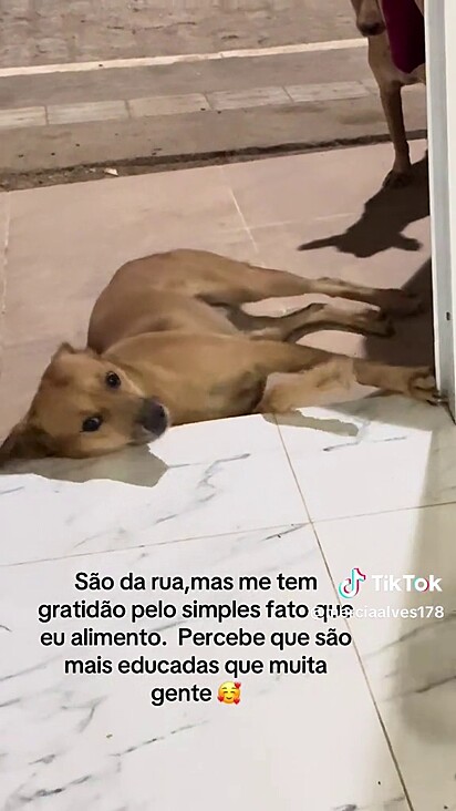 Magrela visita Mércia diariamente.