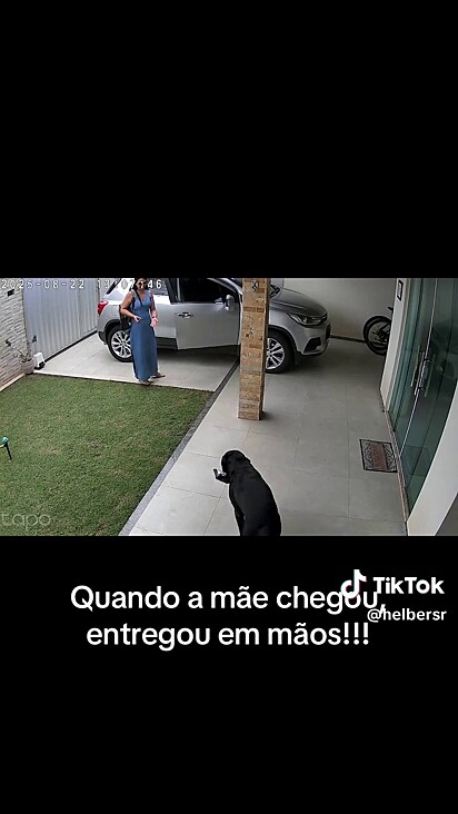 Toda a cena foi registra por câmeras de vigilância.