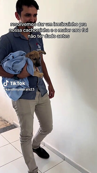 O novo filhote chegando em casa.