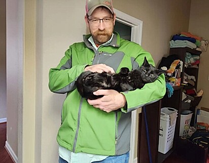 O gato Pete em sua casa oficial.