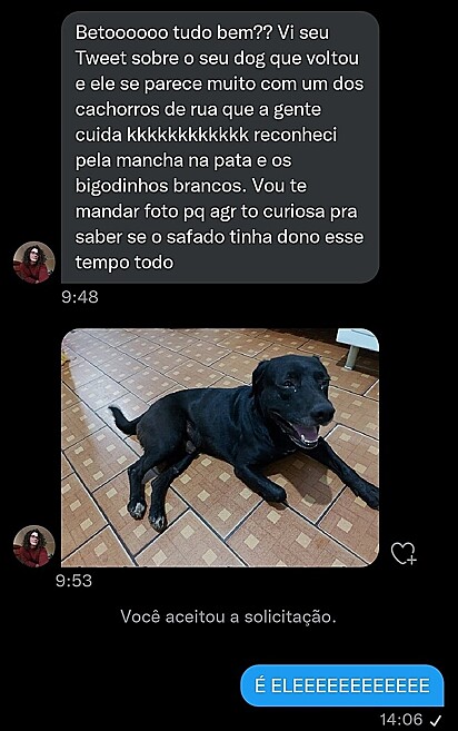 Captura de tela da mensagem que a segunda família mandou para Alberto, tutor original.