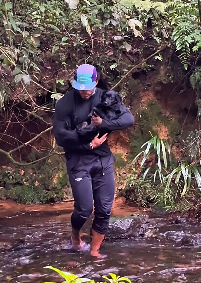 Diego Rodrigues encontrou a cachorrinha no meio da floresta.