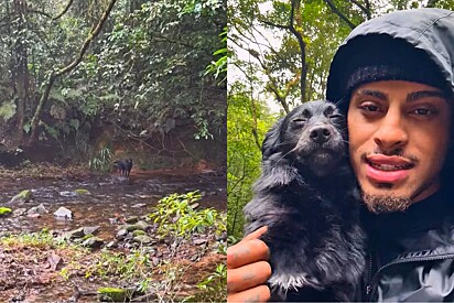 Em acampamento, homem encontra cachorrinha abandonada e muda o seu destino para sempre.