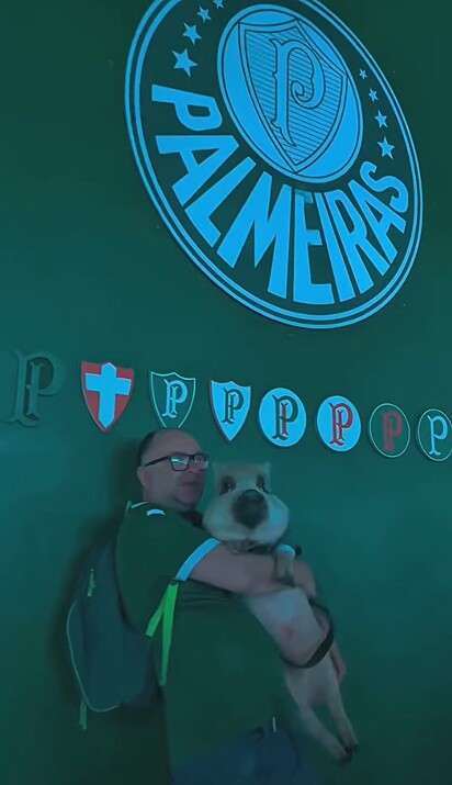 O porco Evair no colo do tutor, Leandro Lemo.