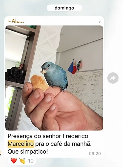 A rotina de Marcelino virou assunto fixo do grupo do condomínio.