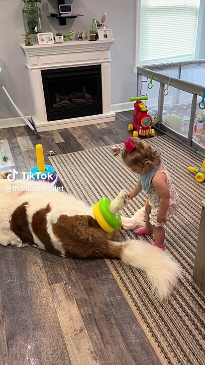Ela adora brincar com o cachorro.