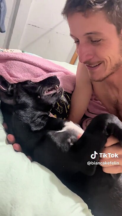 A cachorrinha finge não querer carinho do pai.