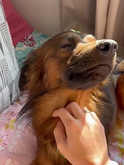 Adotar é um ato de amor.