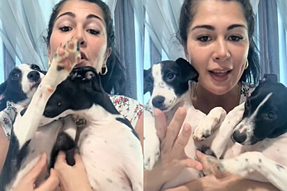 Moça que devolveu cães para protetora pede que ela explique o que filhotes aprontaram e situação só piora