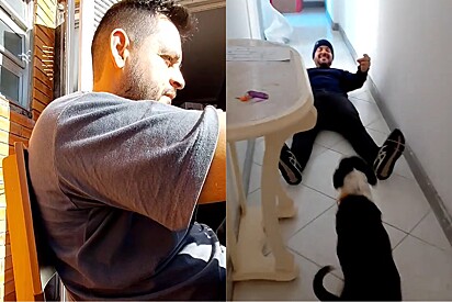Marido que decretou que jamais teria cachorro é exposto na web com vídeo revelador.