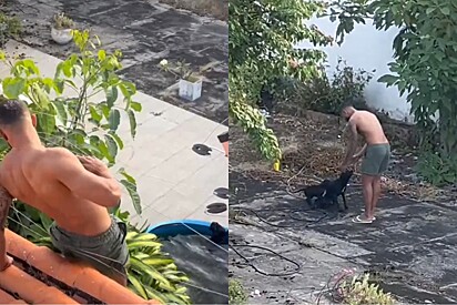 Homem resolver tomar atitude ao ver filhotinho em perigo e mamãe vira-lata agradece de maneira emocionante.