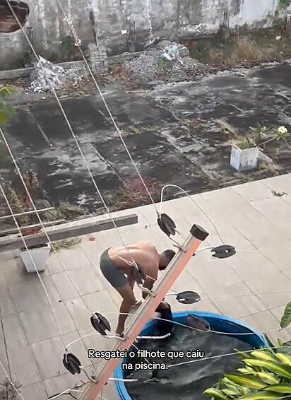 O filhote havia caído dentro da piscina.