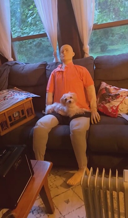 O cachorro foi direto se aconchegar no colo do boneco.