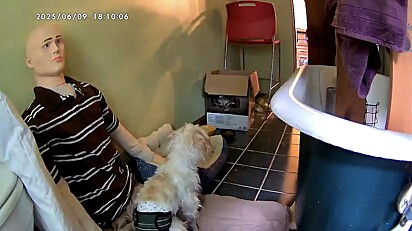 Gus aceitou o boneco como seu melhor amigo.