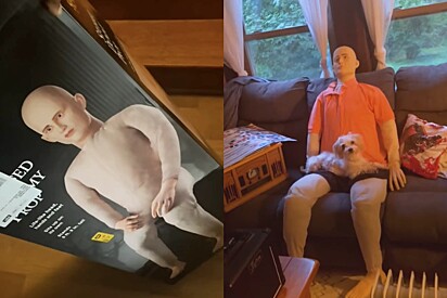 Cachorrinho ansioso decide que boneco assustador em tamanho real será seu melhor amigo