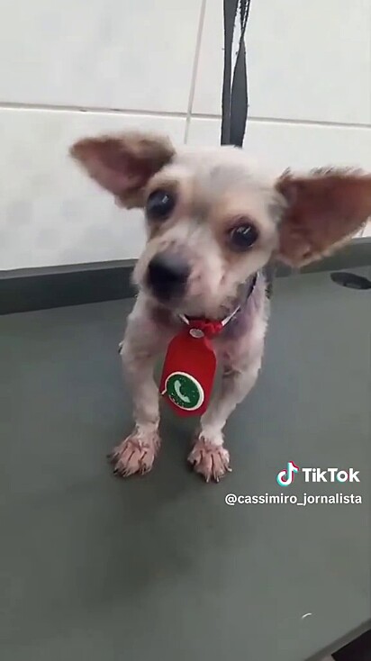 Cassimiro convenceu a família a doar o Ted.