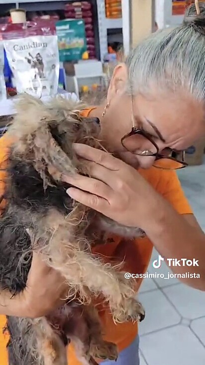 O cachorro da raça yorkshire ganhou tratamento VIP.