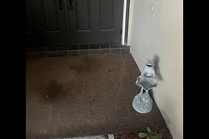 Chegando do trabalho, mulher olha para sua estátua de sapo e vê algo de errado
