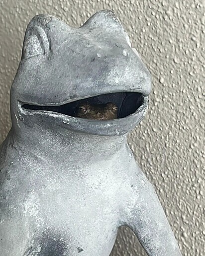 O sapo escolheu a estátua de sapo para se abrigar. 