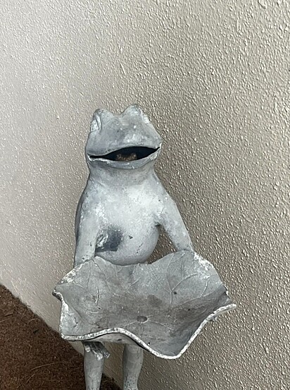 Dentro da boca da estátua de sapo, dois olhos brilhavam.