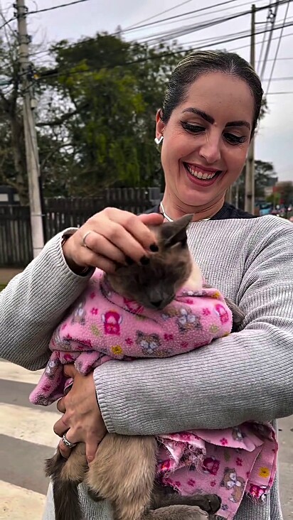O gatinho foi resgatado pela veradora.